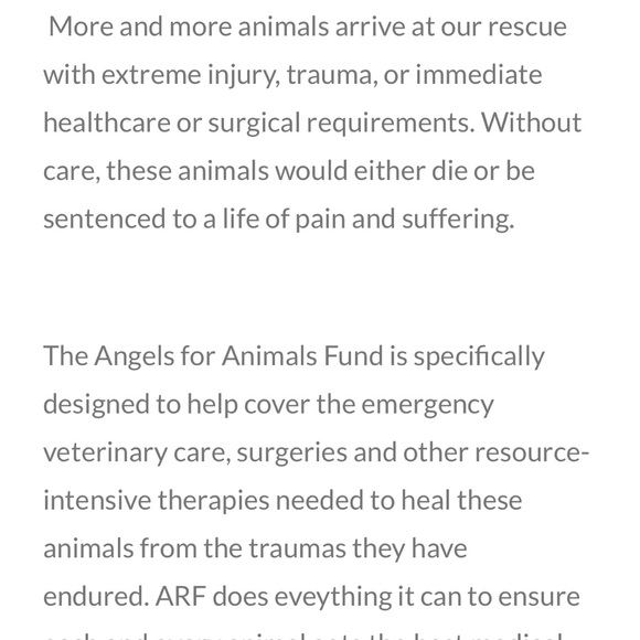 15% of my sales go to: Berea Animal Rescue & Angels for Animals Medical Fund 🐾 - Picture 11 of 17